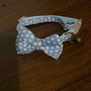 Blue and white cat collar, with bow and bell